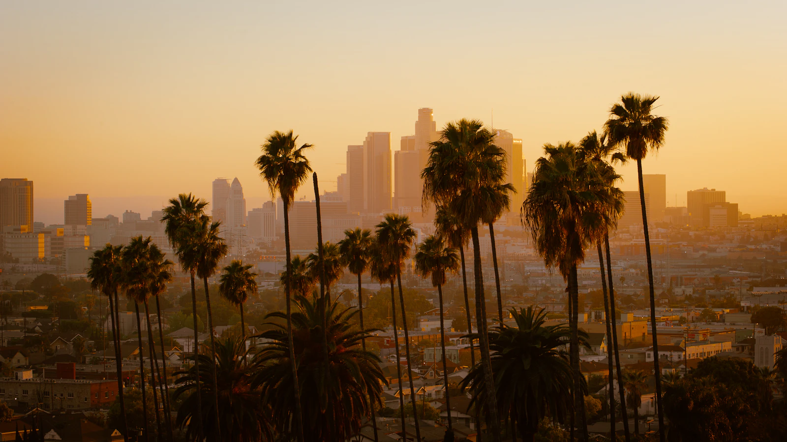 Los Angeles palm canyon