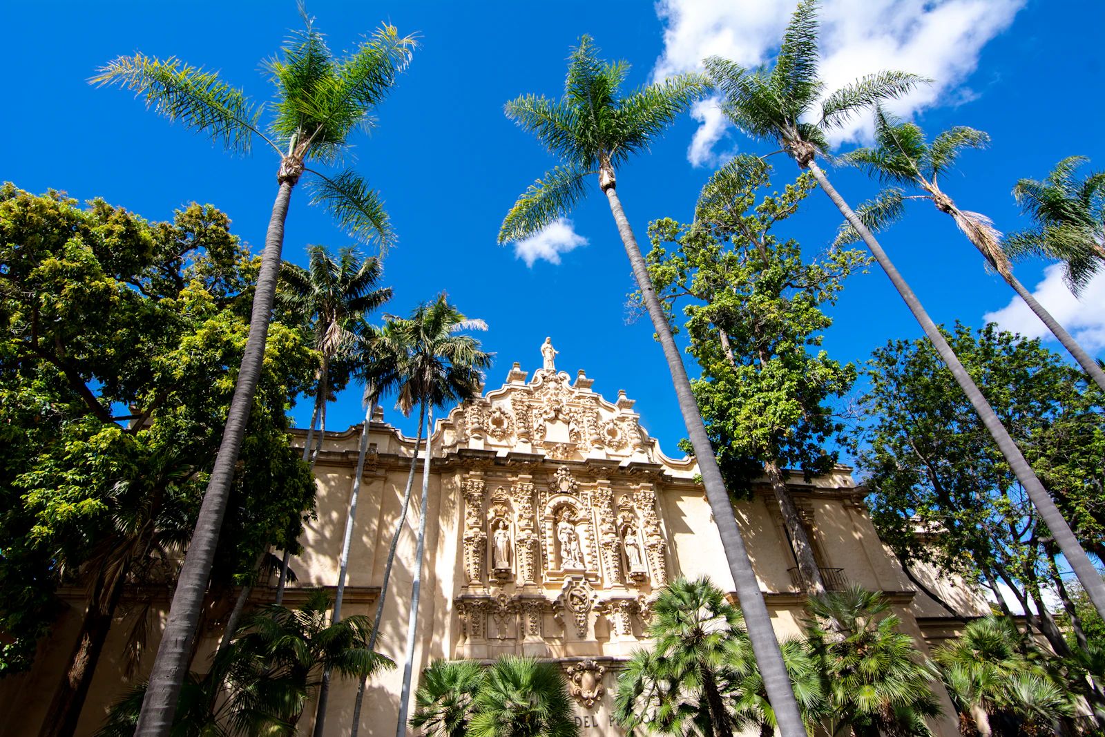 Balboa Park palms and architecture