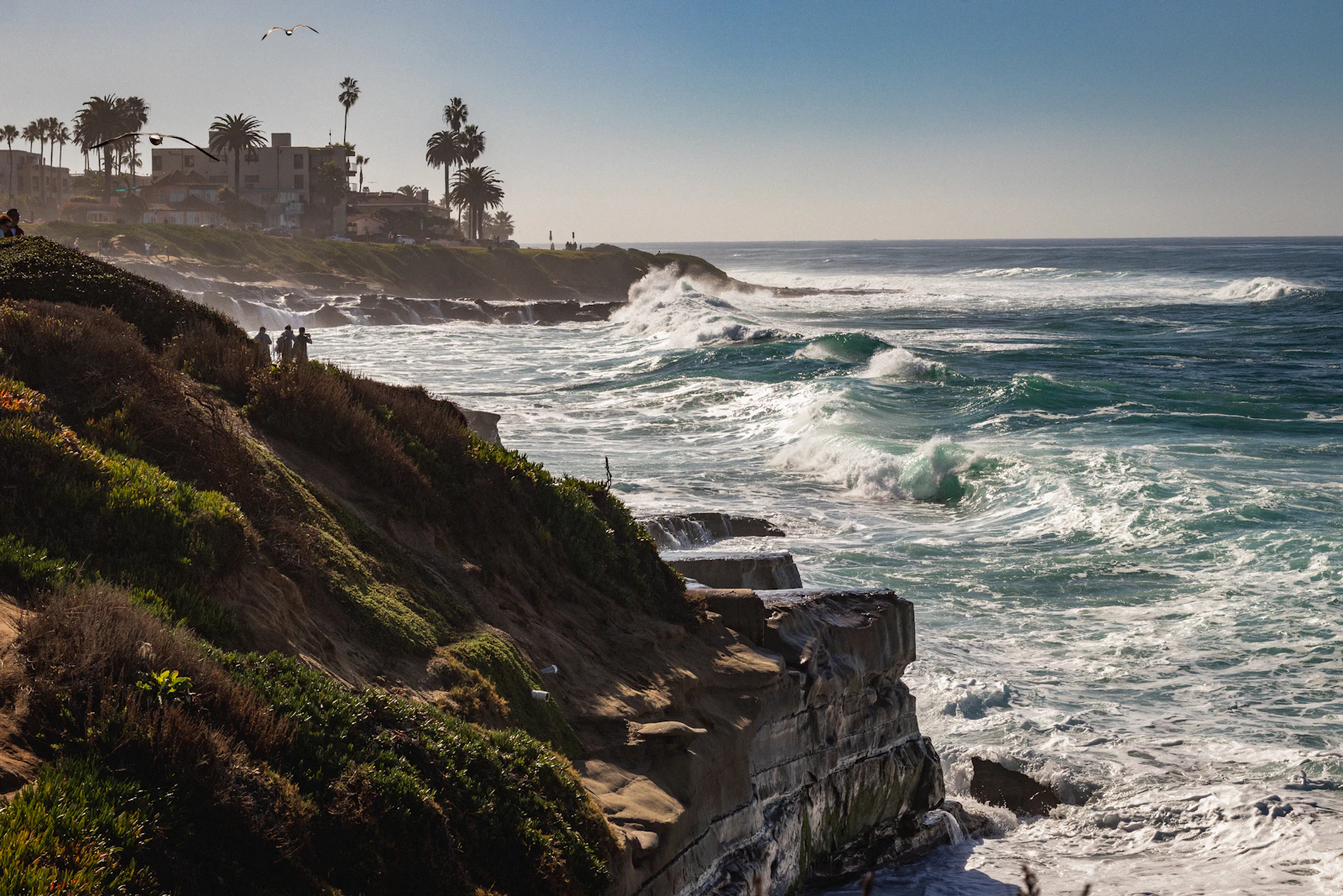 La Jolla coastal cliffs in San Diego County