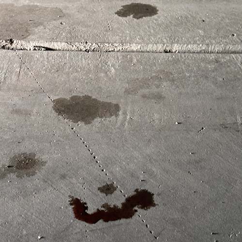 common fluid leaks in vehicles